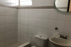 image2 (13)