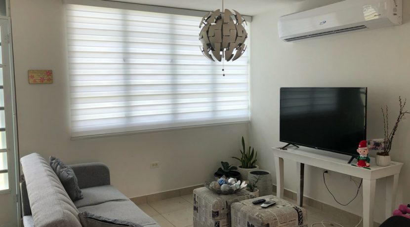 image5 (2)